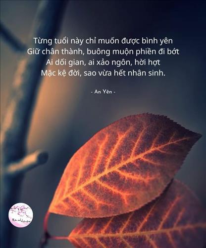 Bòn bon, 33 tuổi, Quận 1, Việt Nam