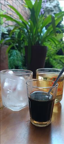 Tóc Xoăn, 39 tuổi, Quận 1, Việt Nam