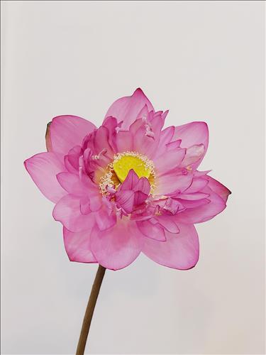 An, 25 tuổi, Quận 1, Việt Nam