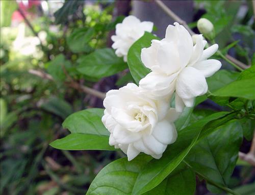 Thái Bảo Vương, 31 tuổi, Quận 1, Việt Nam