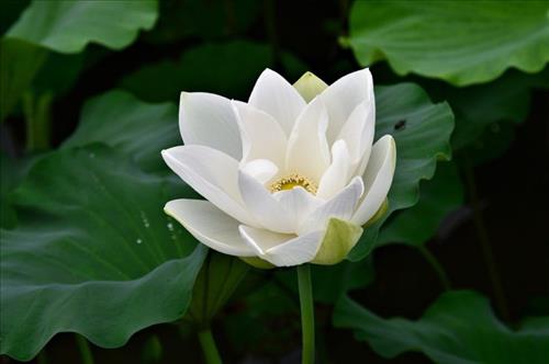 Chuong Tran Tung, 39 tuổi, Quận 1, Việt Nam