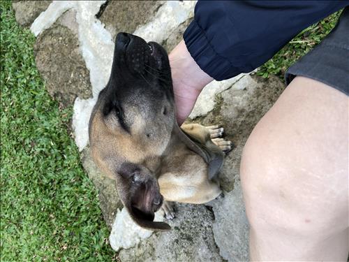 Tân, 27 tuổi, Quận 1, Việt Nam