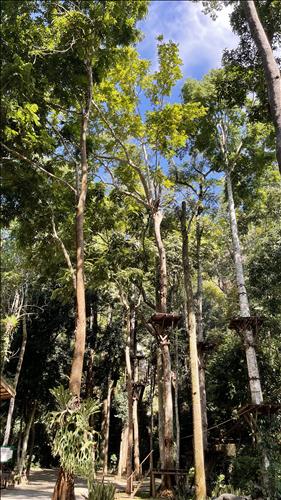 Le hoang, 56 tuổi, Quận 1, Việt Nam