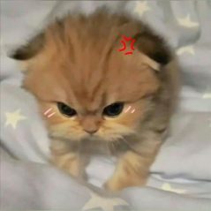 Minh Đức Đỗ, 17 tuổi, Tìm người yêu, Gay, Quận Ba Đình, Hà Nội