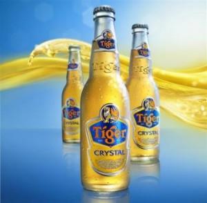 12 Giờ, 37 tuổi, Quận 1, Việt Nam