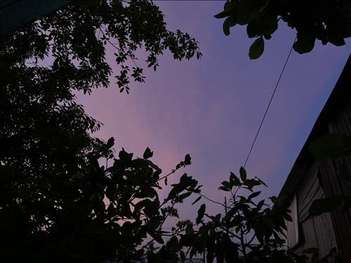 Sứa, 33 tuổi, Quận 1, Việt Nam