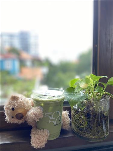 Thys, 31 tuổi, Quận 1, Việt Nam