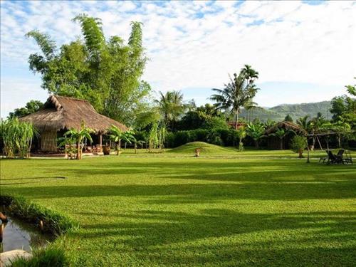 Khói Bếp, 36 tuổi, Quận Ninh Kiều, Việt Nam