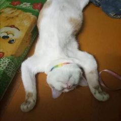 Phong Linh, 21 tuổi, Quận 1, Việt Nam