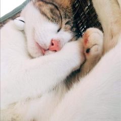 Pete, 19 tuổi, Quận 1, Việt Nam