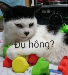 Broken Heart, 18 tuổi, Tìm người yêu, Gay, Quận Ninh Kiều, Cần Thơ