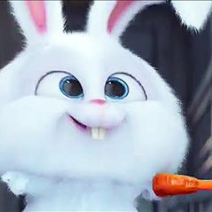 Snowball, 20 tuổi, Quận 1, Việt Nam