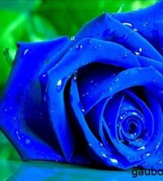 Xuxu Thiên, 28 tuổi, Tìm người hẹn hò, Gay, Quận 1, Hồ Chí Minh