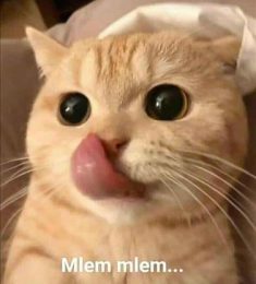 iamhB, 21 tuổi, Tìm người hẹn hò, Gay, Quận 1, Hồ Chí Minh