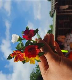 Gió, 24 tuổi, Tìm người kết hôn, Gay, Quận Ba Đình, Hà Nội