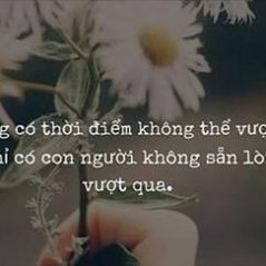 Thanh Nguyen, 44 tuổi, Quận 1, Việt Nam
