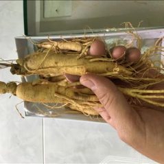 Hoang Nhan, 32 tuổi, Quận 1, Việt Nam