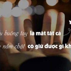 Vệ Chỉ, 27 tuổi, Nha Trang, Việt Nam