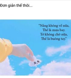 Trái tim của gió, 32 tuổi, Tìm người kết hôn, Les, Nha Trang, Khánh Hòa