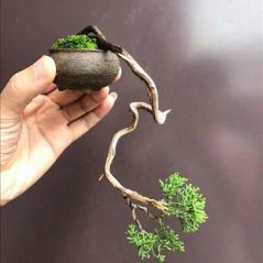 Dii, 29 tuổi, Quận Ninh Kiều, Việt Nam