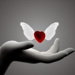 Lovely, 25 tuổi, Quận Ba Đình, Việt Nam
