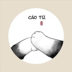 Táo mèo, 33 tuổi, Quận Ba Đình, Việt Nam