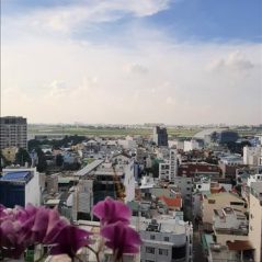 Mèo Ngốc, 33 tuổi, Quận 1, Việt Nam