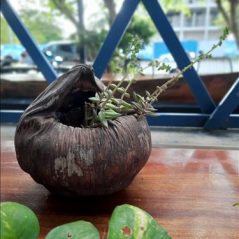 Nguyen, 36 tuổi, Quận Ninh Kiều, Việt Nam