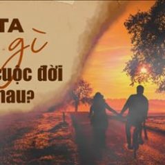 Quên, 32 tuổi, Quận 1, Việt Nam