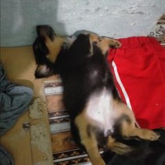 Thao Le, 25 tuổi, Quận 1, Việt Nam