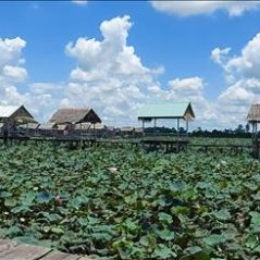 Cocos, 28 tuổi, Quận Ninh Kiều, Việt Nam