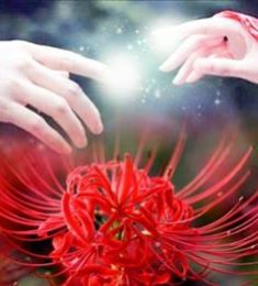 Thanh, 31 tuổi, Tìm bạn bốn phương, Les, Biên Hòa, Đồng Nai