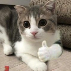 Em còn non và xanhhh, 18 tuổi, Quận Ninh Kiều, Việt Nam