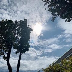 Uzh14, 24 tuổi, Quận 1, Việt Nam