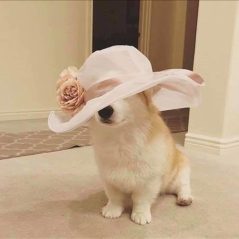 Cỏ may, 30 tuổi, Tam Điệp, Việt Nam
