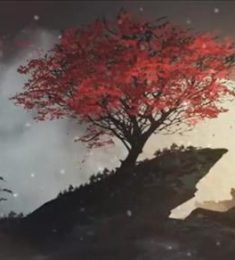 Hihi, 29 tuổi, Tìm bạn bè, Les, Quận Ninh Kiều, Cần Thơ