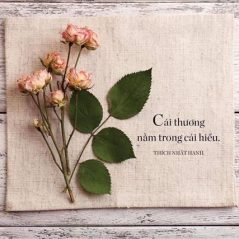 Rose, 27 tuổi, Quận 1, Việt Nam