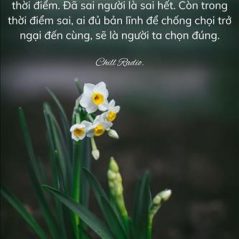 Kim, 32 tuổi, Quận Ninh Kiều, Việt Nam