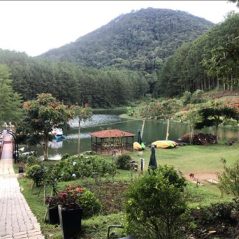 Mèo, 35 tuổi, Đà Lạt, Việt Nam