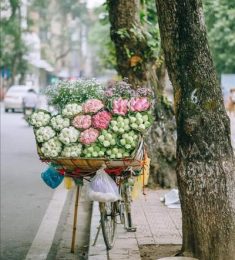 Rose, 35 tuổi, Tìm bạn bè, Les, Quận Liên Chiểu, Đà Nẵng