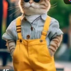 Les B tìm bạn 😌, 42 tuổi, Quận Ba Đình, Việt Nam