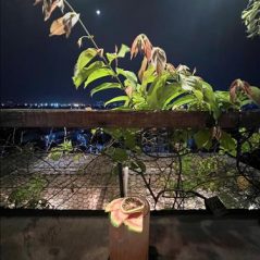 Hummmm, 28 tuổi, Quận 1, Việt Nam