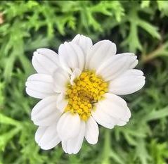 Di, 29 tuổi, Quận Ninh Kiều, Việt Nam