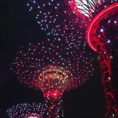 lzllvl, 28 tuổi, Quận 1, Việt Nam