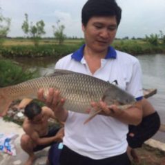 Ngoc17, 41 tuổi, Kiến Xương, Việt Nam