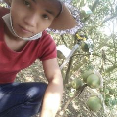 Hưng, 33 tuổi, Tân Phú, Việt Nam