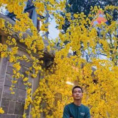Lê thái bảo, 28 tuổi, Nha Trang, Việt Nam