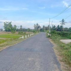 Trúc, 37 tuổi, Tân An, Việt Nam
