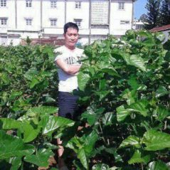 Hoàng Thanh, 48 tuổi, Thuận An, Việt Nam
