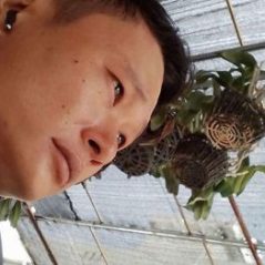 Nguyễn hải, 30 tuổi, Quận 1, Việt Nam